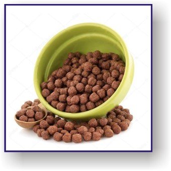 Bolitas de Chocolate